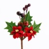 Besjes & Kerstster Decoratie - Bordeaux 12 stuks