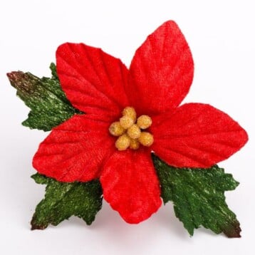 Kerst Poinsettia Rood Fluweel 9 cm - 12 Stuks