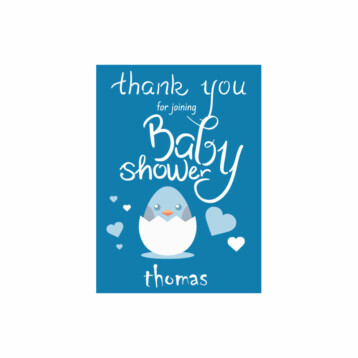 Blauwe Babyshower Stickers