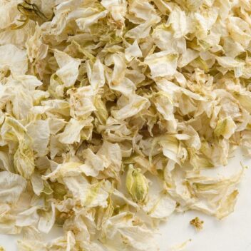 Gedroogde Bloemblaadjes Ivoor