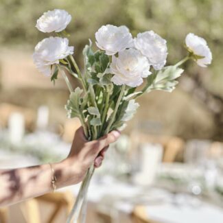 Prachtige Ranunculus Bladeren Stengels