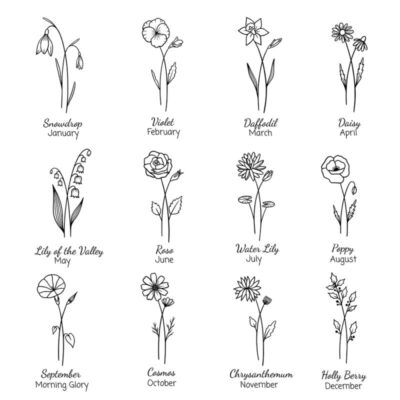 per560920230824022952111