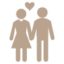 Bruidspaar cadeau icon